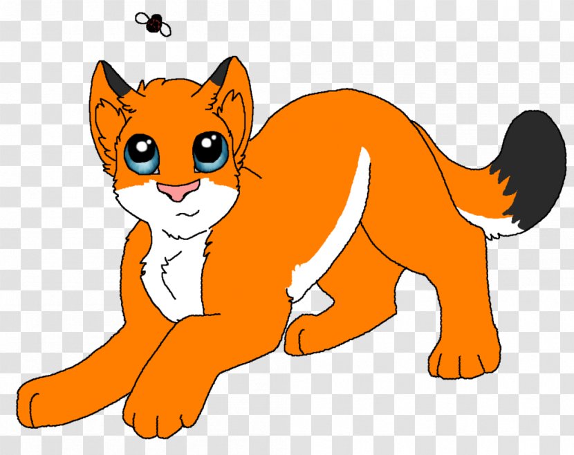 Whiskers Lion Cat Red Fox Animal Transparent PNG