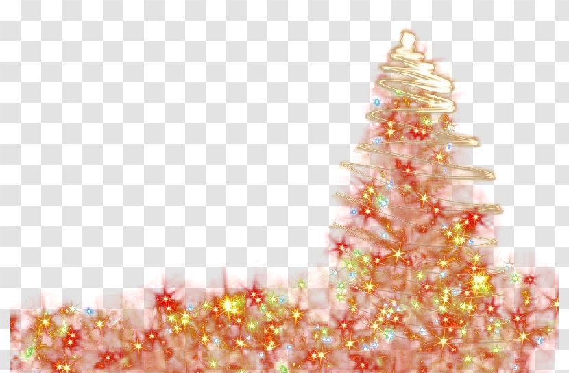 Christmas Light Effect Background - Fir - Spruce Transparent PNG