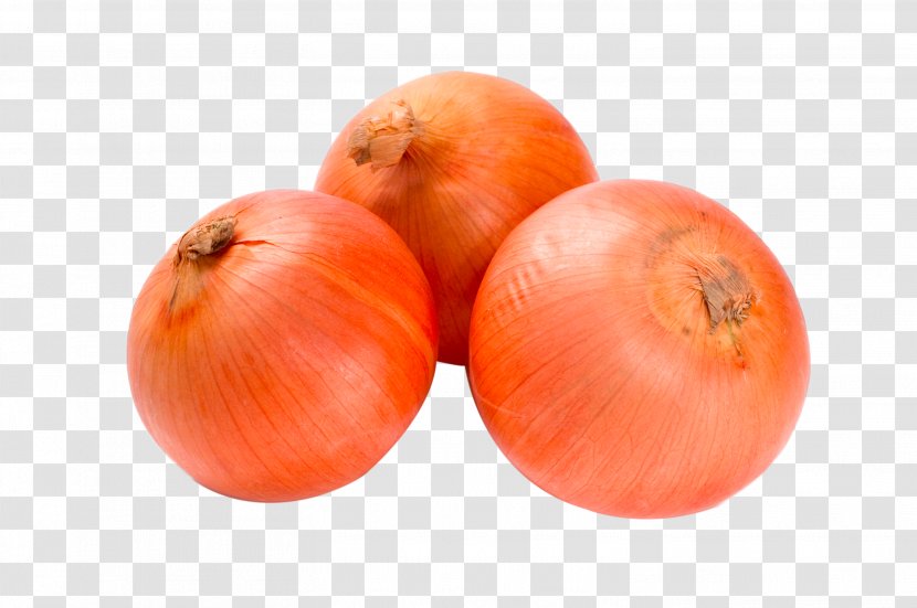 Onion Tomato Garlic Allium Fistulosum Chinense - Potato And Genus - HD Fresh Transparent PNG
