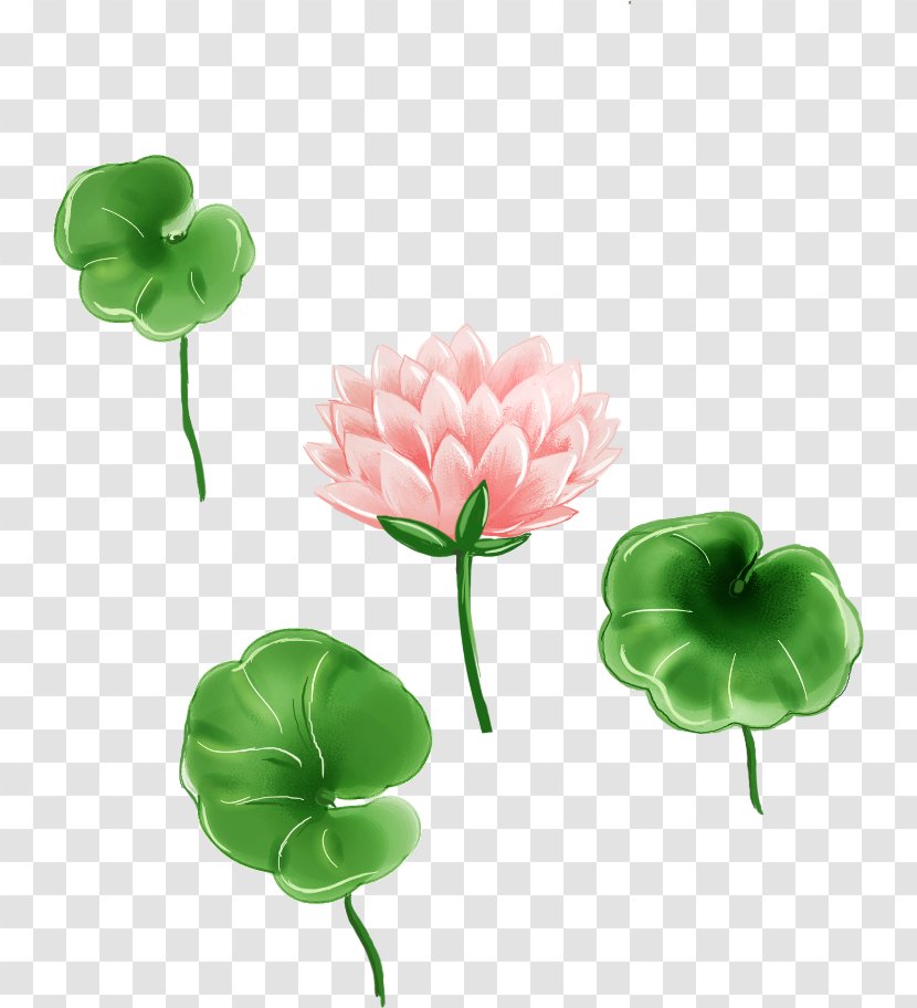 Leaf Cartoon - Painted Lotus Fresh Transparent PNG