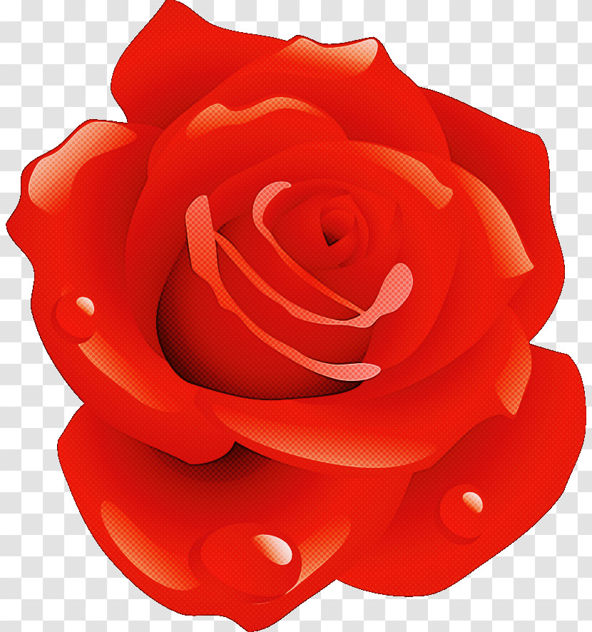 One Flower One Rose Valentines Day Transparent PNG