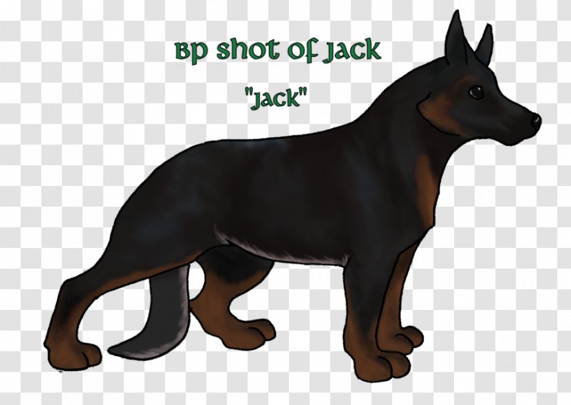Ormskirk Terrier German Shepherd Australian Kelpie Manchester Kunming Wolfdog - New Year's Dog Comes To Pay Call! Transparent PNG