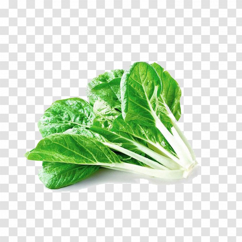 China Chinese Cabbage Bok Choy Vegetable - Leaf Transparent PNG