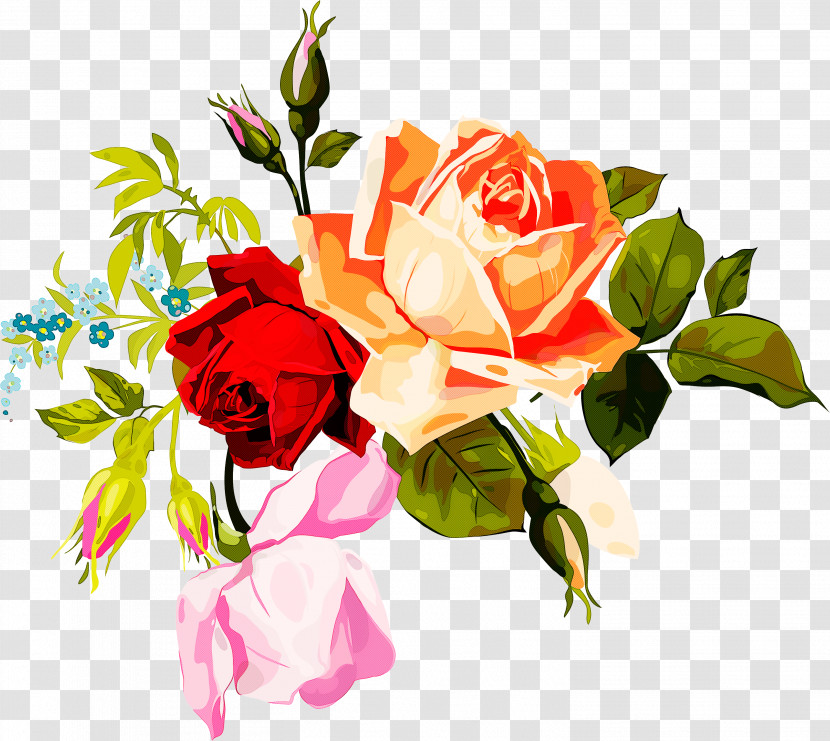 Garden Roses Transparent PNG