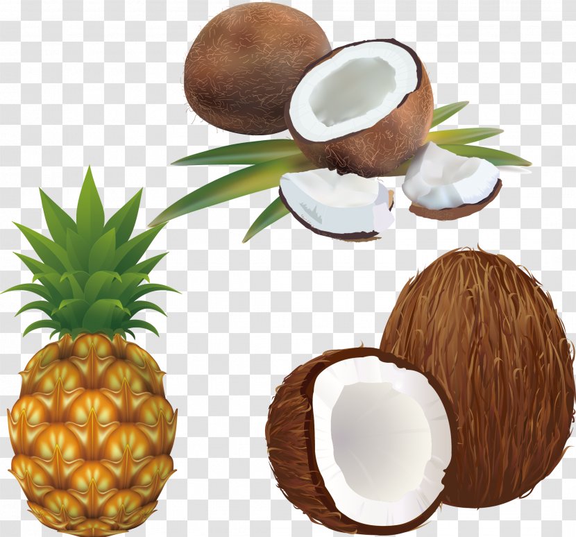 Pineapple Stock Photography Royalty-free Illustration - Ingredient - Coconut Transparent PNG