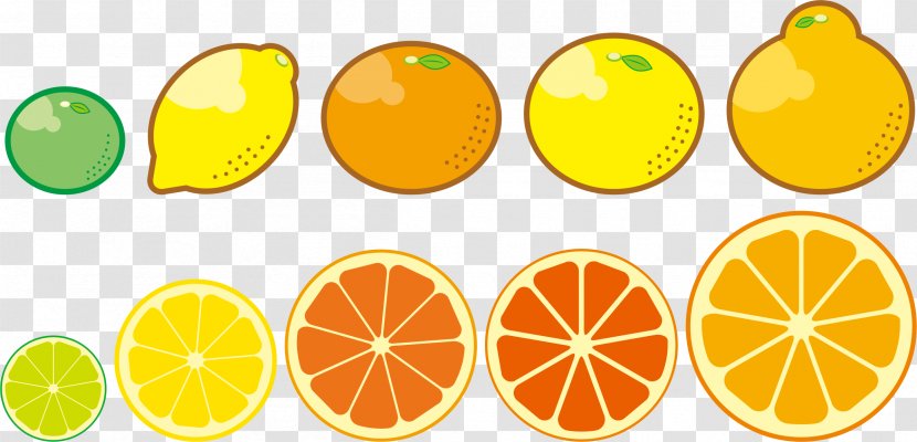 Lemon Satsuma Mandarin Fruit Food Orange Transparent PNG