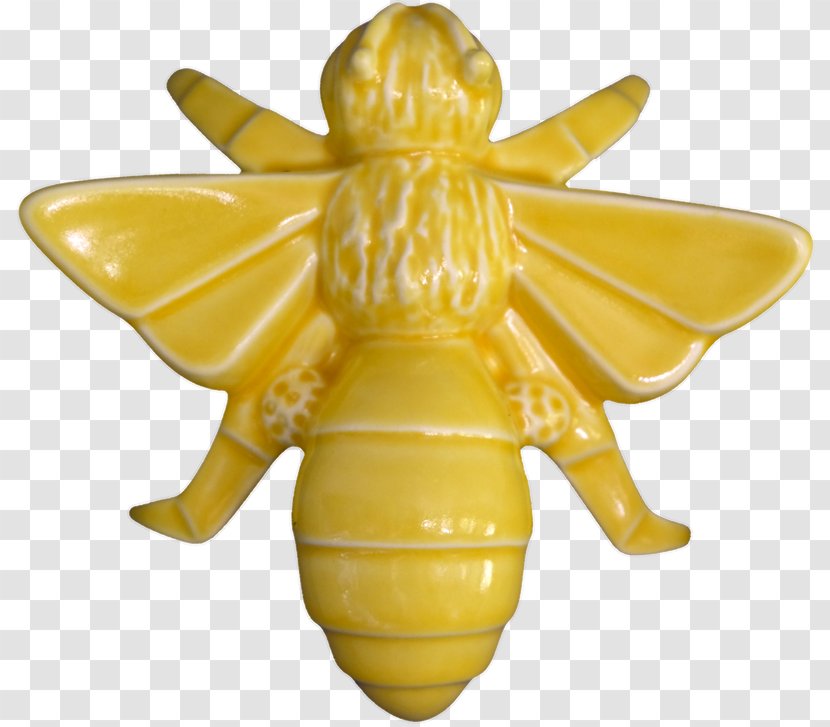 Honey Bee Ceramic Art Pottery - New Zealand Fantail - Wildlife Mugs Transparent PNG
