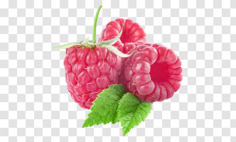 Raspberry Fruit Clip Art - West Indian Transparent PNG