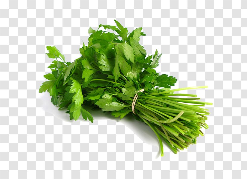 Coriander Indian Cuisine Thai Herb Leaf Vegetable - Flavor Transparent PNG