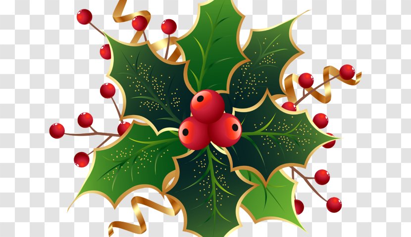 Christmas Decoration Cartoon - Ilex Verticillataamerican Winterberry - Flower Transparent PNG