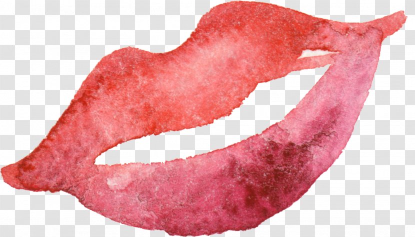 Mouth - Jaw - Lip Transparent PNG
