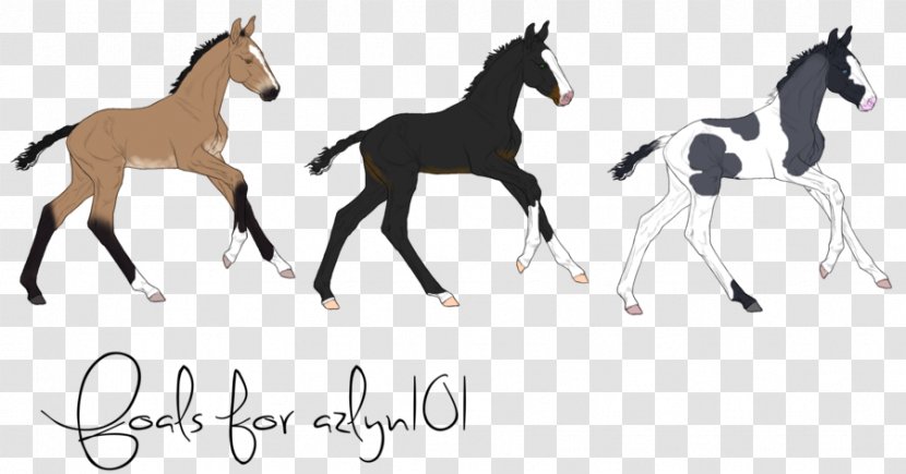 Mustang Foal Stallion Colt Bridle - Neck - Lovely Parting Line Transparent PNG