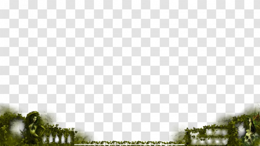 Land Lot Tree Desktop Wallpaper Sky Computer - Overlay Transparent PNG