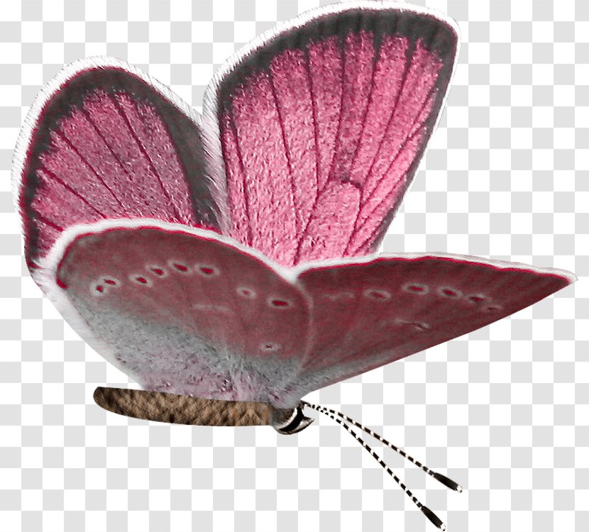 Butterfly Purple Transparent PNG