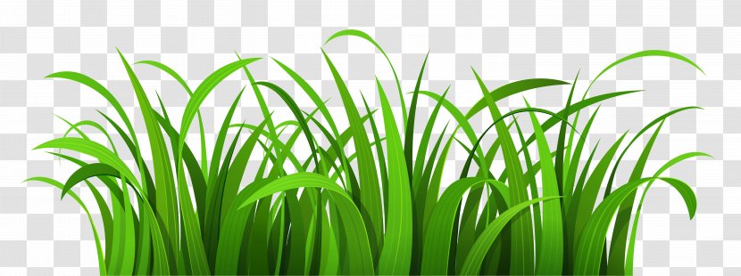 Download Clip Art - Stock Photography - Cliparts Grass Border Transparent PNG