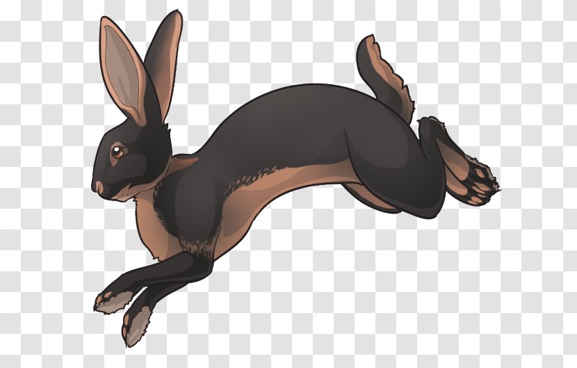 Domestic Rabbit Hare Dog Canidae - Like Mammal Transparent PNG