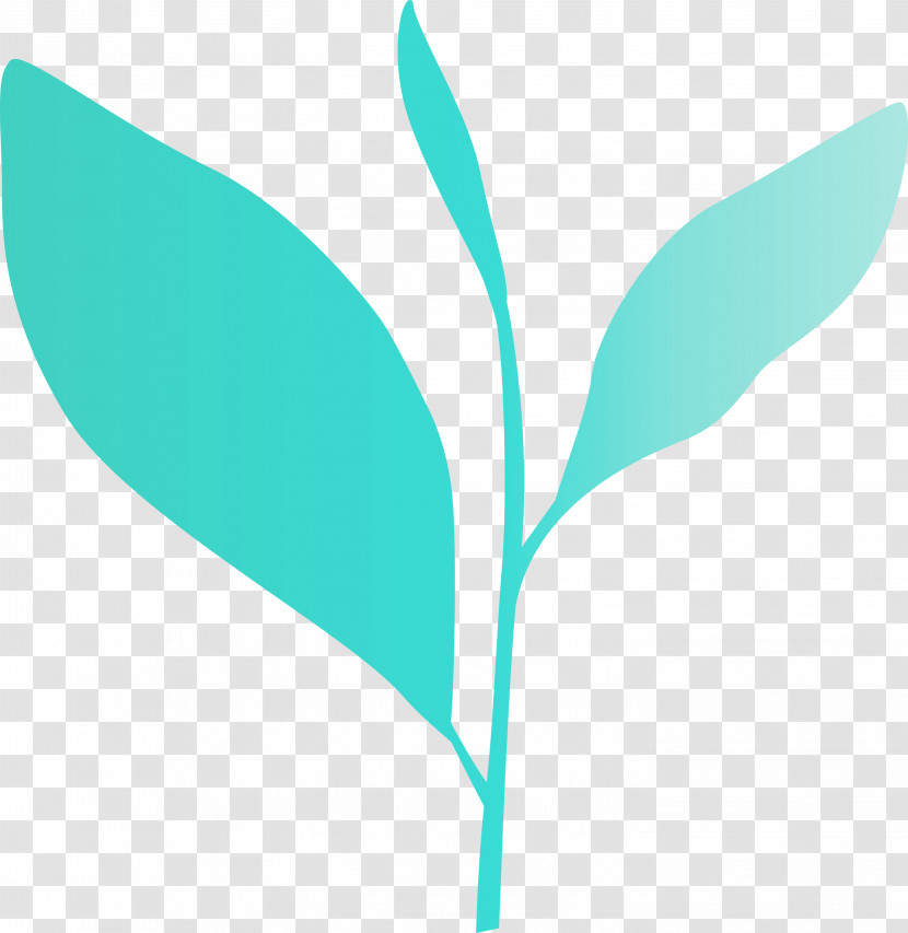 Leaf Green Plant Turquoise Flower Transparent PNG