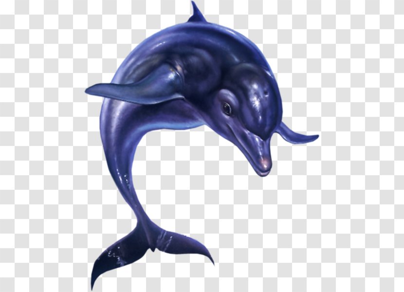 Ecco The Dolphin: Defender Of Future Ecco: Tides Time Streets Rage 2 Sega 3D Classics Collection - Dolphin Transparent PNG