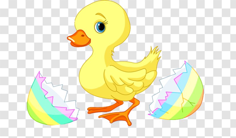 Duck Easter Clip Art - Royaltyfree - Baby Cliparts Transparent PNG