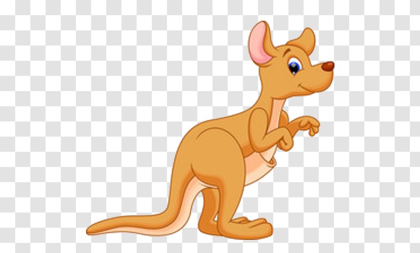 Vector Graphics Kangaroo Cartoon Clip Art Illustration - Animal Figure Transparent PNG