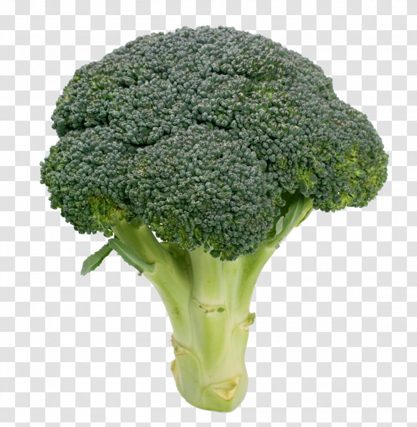 Broccoli Cauliflower Kale Vegetable Variety - Vegetarian Cuisine Transparent PNG