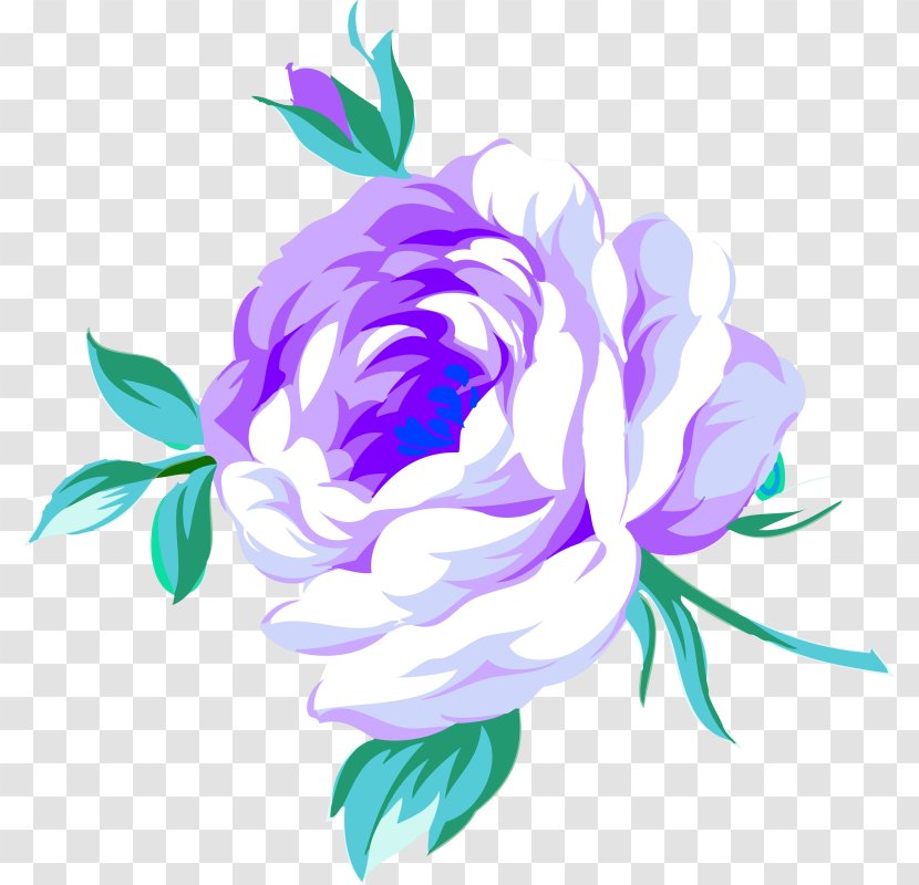 Cabbage Rose Peony Clip Art - Color Transparent PNG