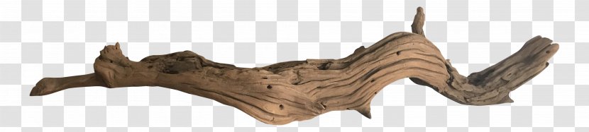 Driftwood Sculpture Branch - Wood Transparent PNG