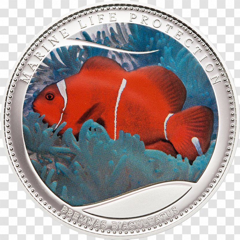 Coin Palau Silver Clownfish Metal Transparent PNG