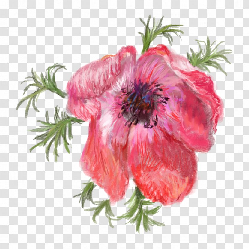 Opium Poppy Flower Red - Arranging - Pomegranate Safflower Transparent PNG
