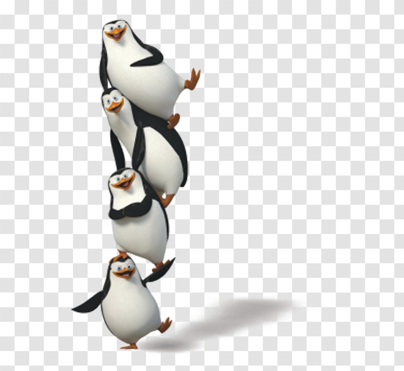 Penguin Madagascar Film Animation - Penguins Transparent PNG