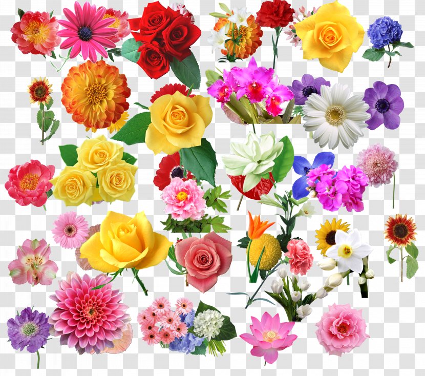 Download Illustration - Petal - Creative Flowers Transparent PNG