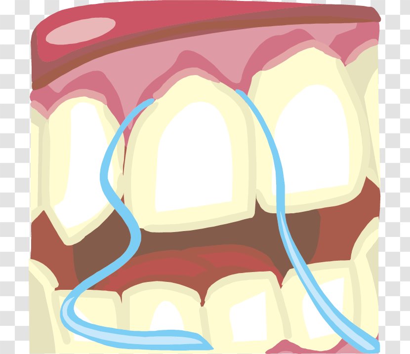 Tooth Pathology Dental Floss Brushing Clip Art - Frame - Vector Illustration Health Transparent PNG