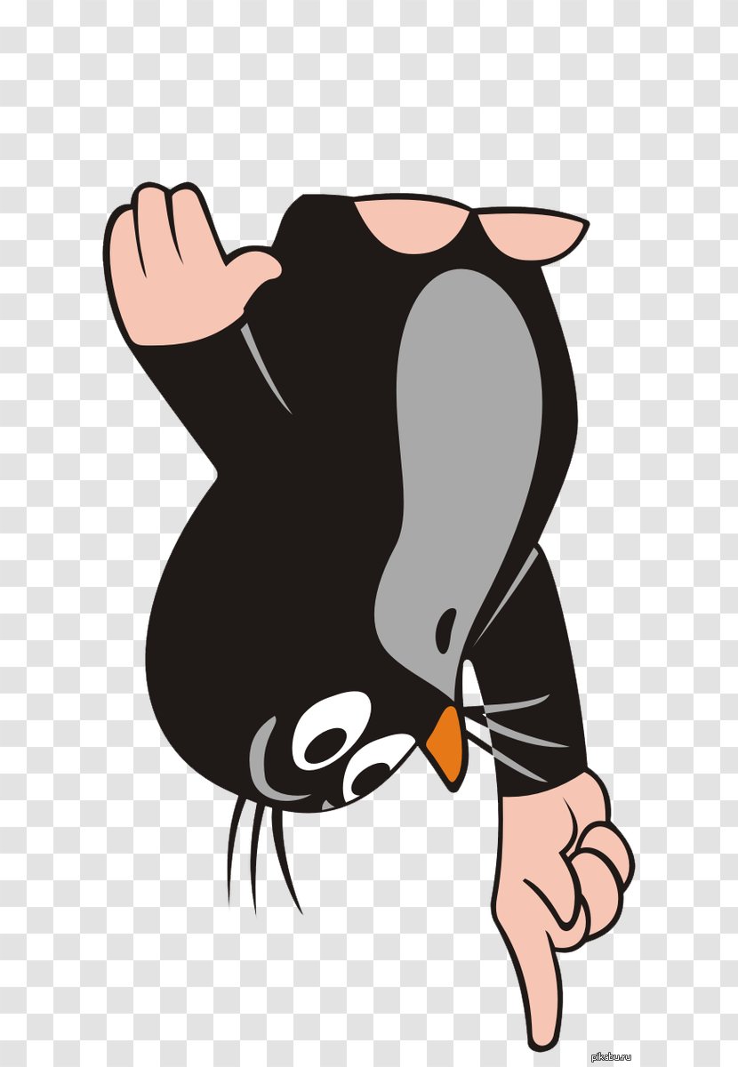 Penguin Character Beak Clip Art - Carnivoran Transparent PNG
