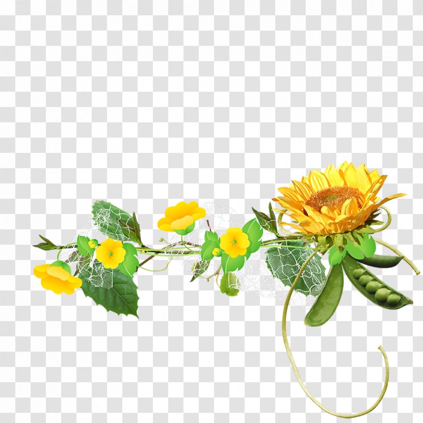 Common Sunflower Euclidean Vector Clip Art - Petal - Free Stock Buckle Transparent PNG