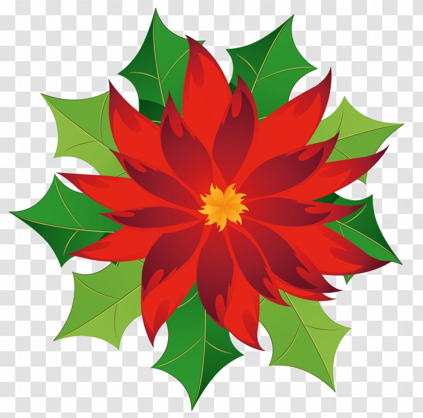 Poinsettia Clip Art - Christmas - Clipart Transparent PNG