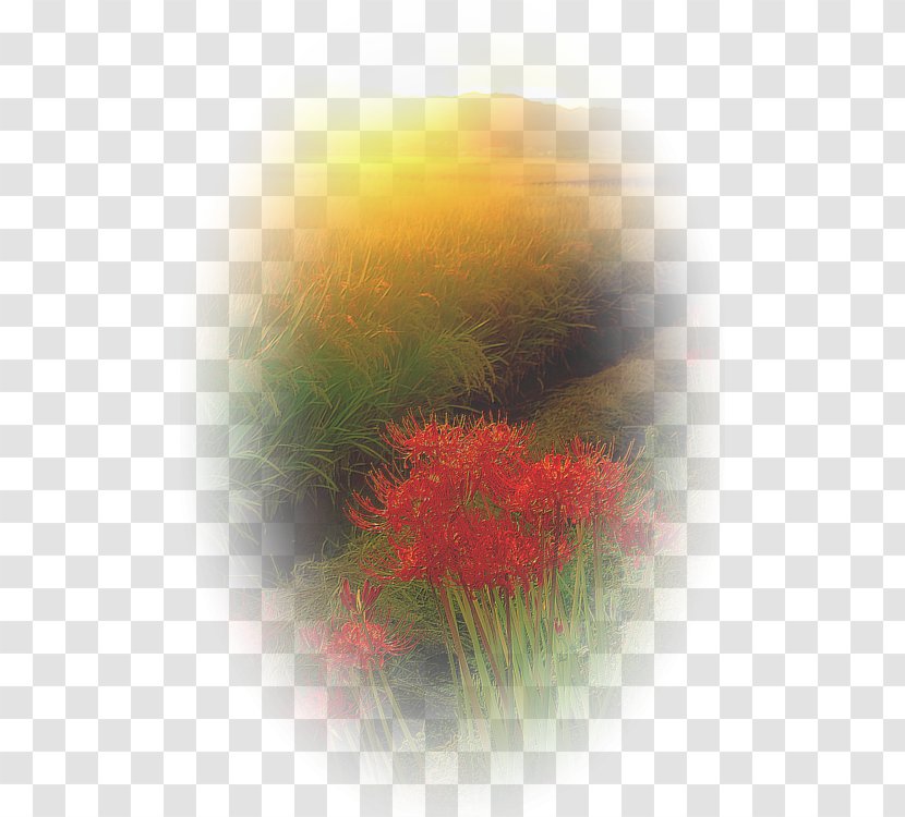 Landscape Painting Blog Clip Art - Flower Transparent PNG