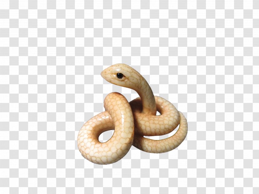 Rattlesnake - Snake - White Transparent PNG