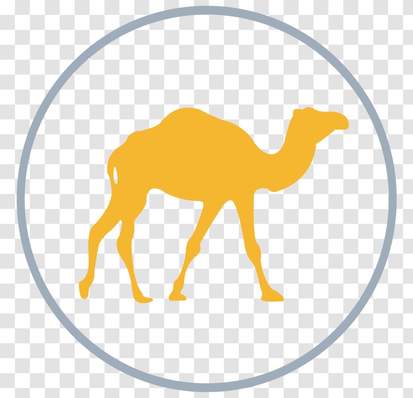 Vector Graphics Dromedary Bactrian Camel Illustration Clip Art - Opening Ceremony Coat Transparent PNG