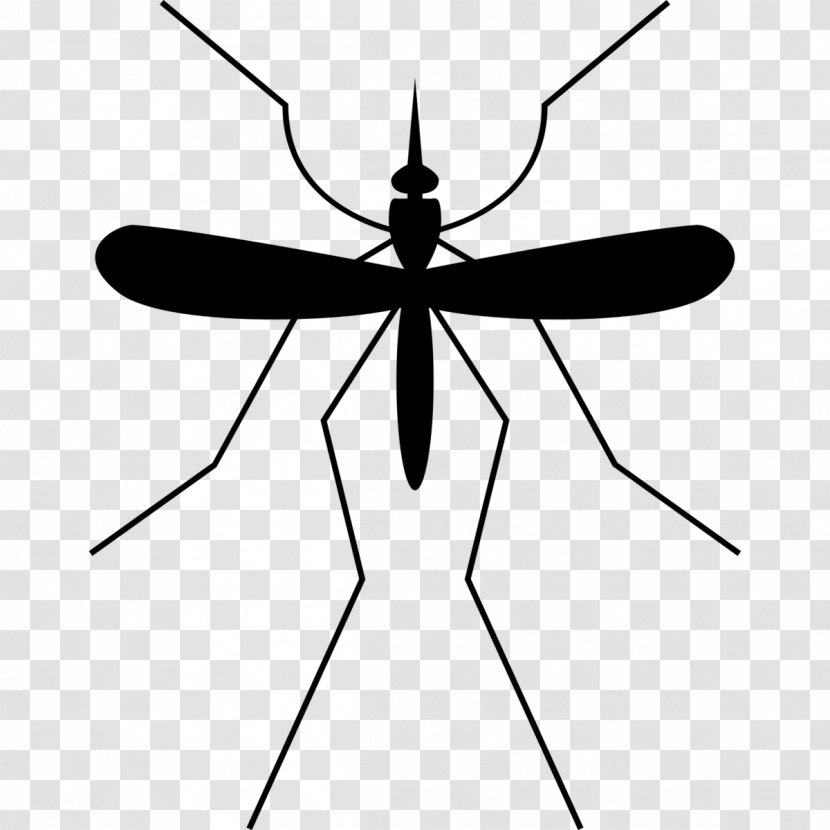 Mosquito Insect Gnat Clip Art - Symbol Transparent PNG