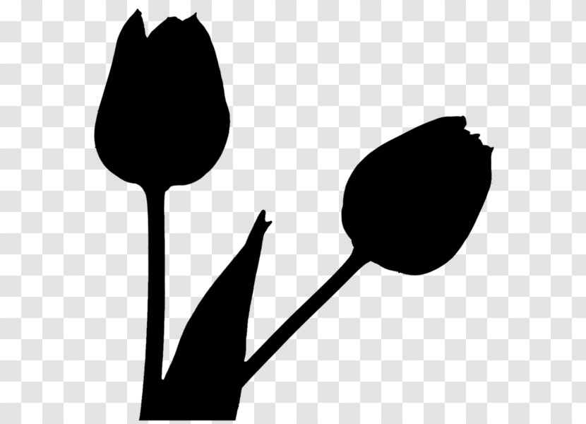 Leaf Clip Art Flower Plant Stem Silhouette - Herbaceous - Blackandwhite Transparent PNG