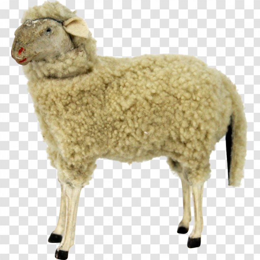 Sheep Goat Wool Terrestrial Animal - Goats Transparent PNG