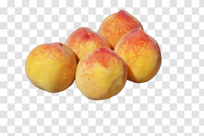 Fruit Nectarine Food Auglis - Peach Transparent PNG