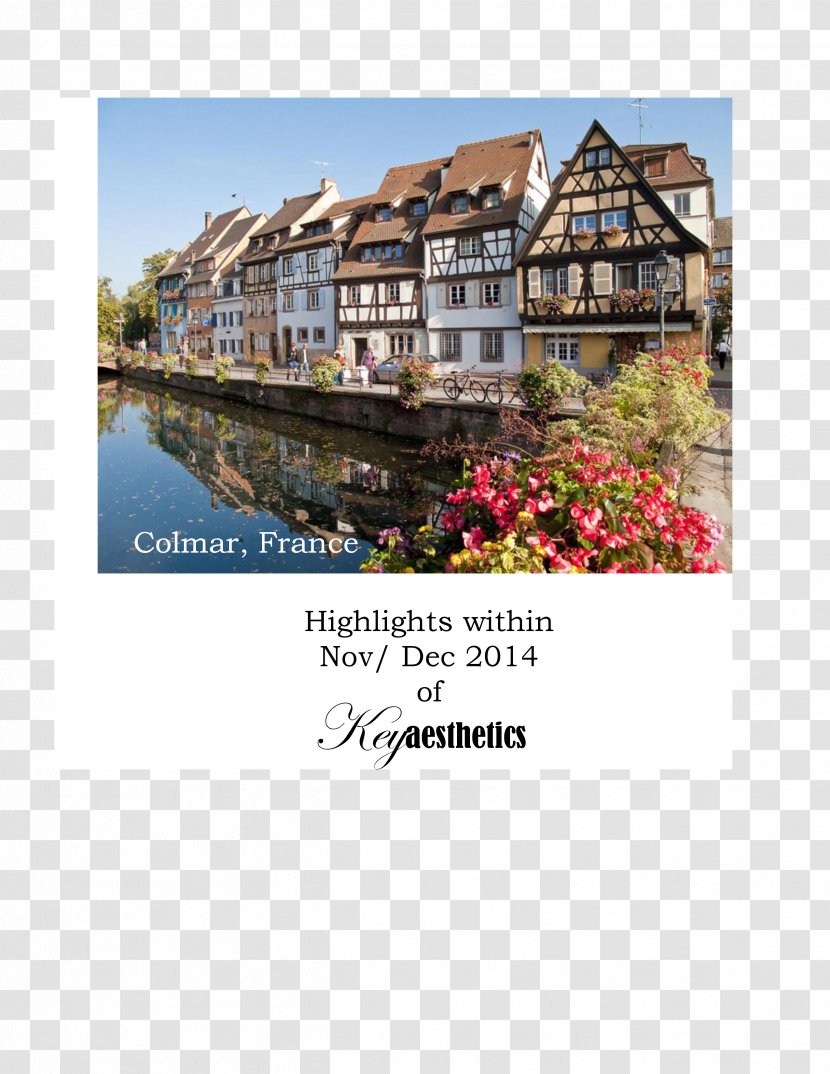 Strasbourg Germany Travel Excursion Tourism - Stock Photography Transparent PNG