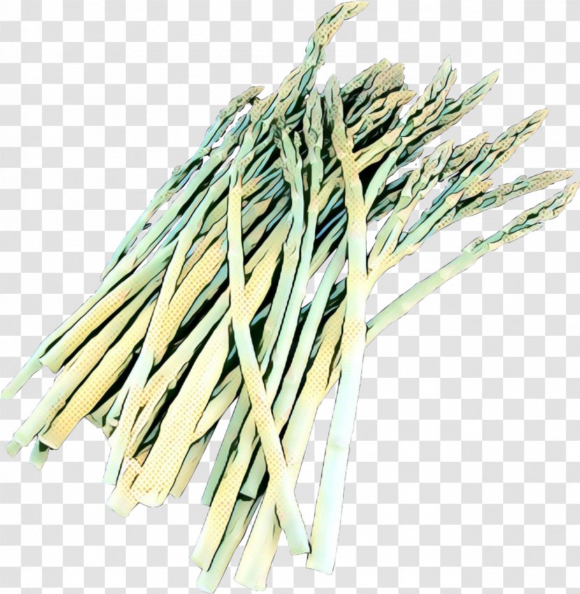 Welsh Onion Plant Vegetable Chives Grass - Elymus Repens Herb Transparent PNG