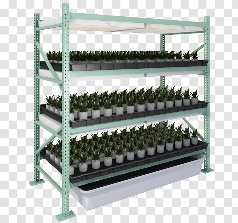 Shelf Cannabis Cultivation Cloning Aeroponics - Sales - Vertical Garden Transparent PNG