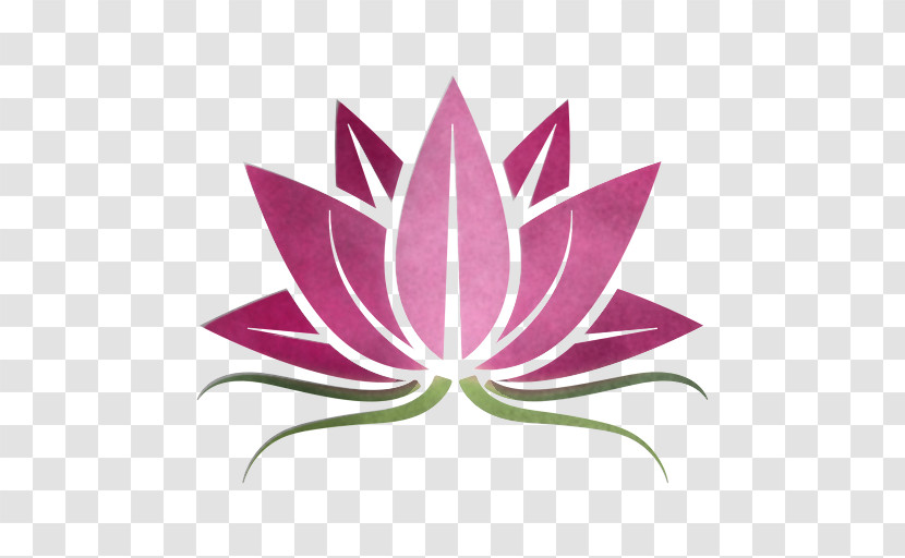 Lotus Transparent PNG