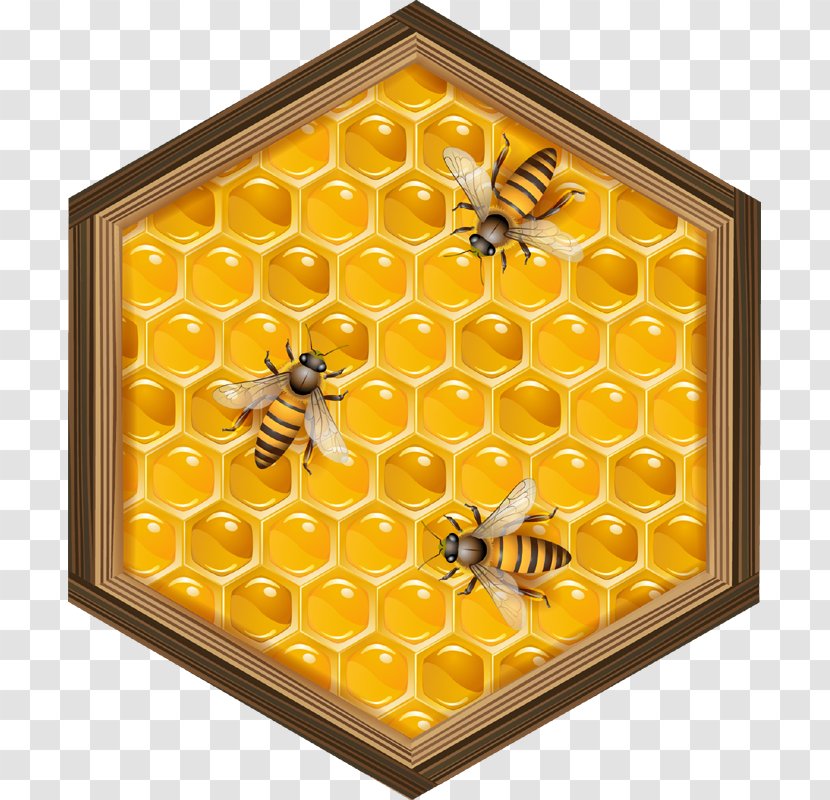 Beehive Honeycomb - Invertebrate - Bee Transparent PNG