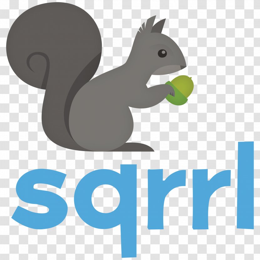 Sqrrl Big Data Computer Security NoSQL Apache Accumulo - Mammal - Grey Squirrel Transparent PNG