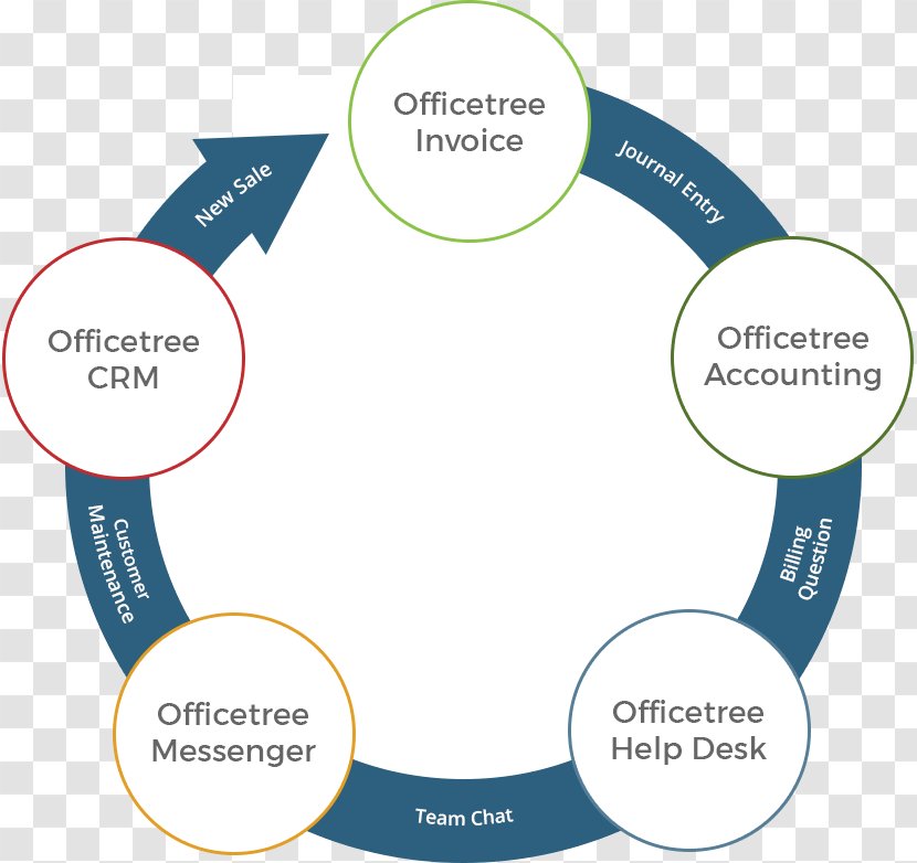 Brand Organization Diagram - Area - Design Transparent PNG