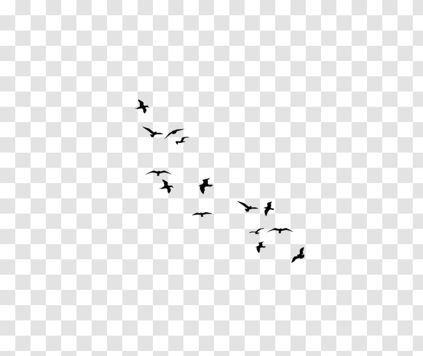 Flock Bird Goose Cygnini Wall Decal - Minimacaw Transparent PNG